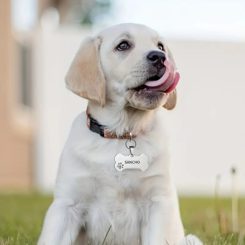 What Information Should I Put on My Pet's ID Tag?